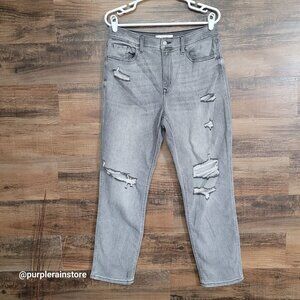 Eunina Jeans Size 30 Rocky Super High Rise Boyfriend Ankle Charcoal Wash